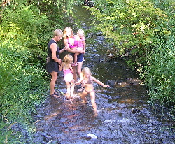 In the Creek